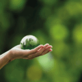 9º Encontro Temático – Ambiente e alterações climáticas
